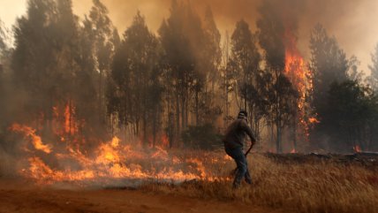   Incendio forestal en Monte Patria ha afectado a una treintena de casas 