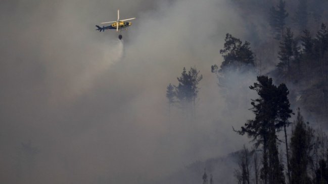   Incendio en el Maule sigue activo y ya ha consumido 3.600 hectáreas 