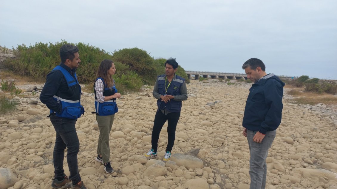 Ecosistema en riesgo: Robo de agua podría afectar al humedal del río Lluta en Arica
