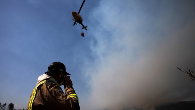 Alcaldesa de Molina criticó penas asociadas a incendios forestales: 