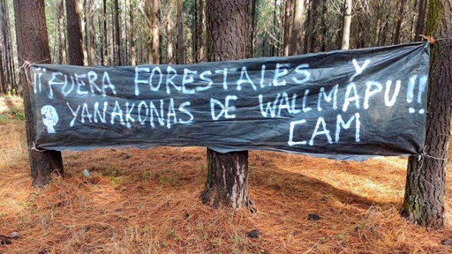 Agricultores de Malleco piden al Gobierno controlar delitos en sectores rurales