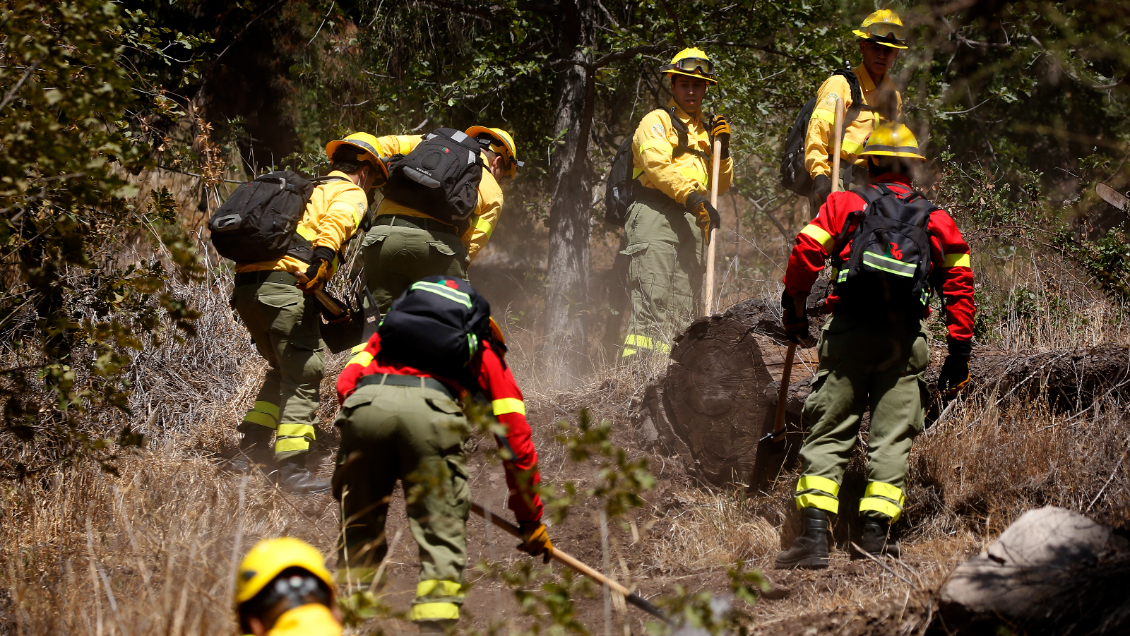 Con 3.200 kilómetros de cortafuegos buscarán mitigar los incendios forestales de temporada