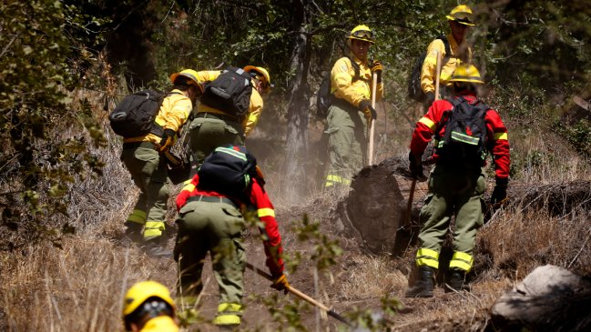  Con 3.200 kilómetros de cortafuegos buscarán mitigar los incendios forestales de temporada  