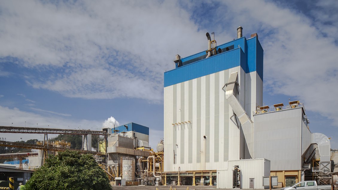 Tribunal ambiental rechazó acción contra planta de residuos de Celulosa Arauco en Constitución