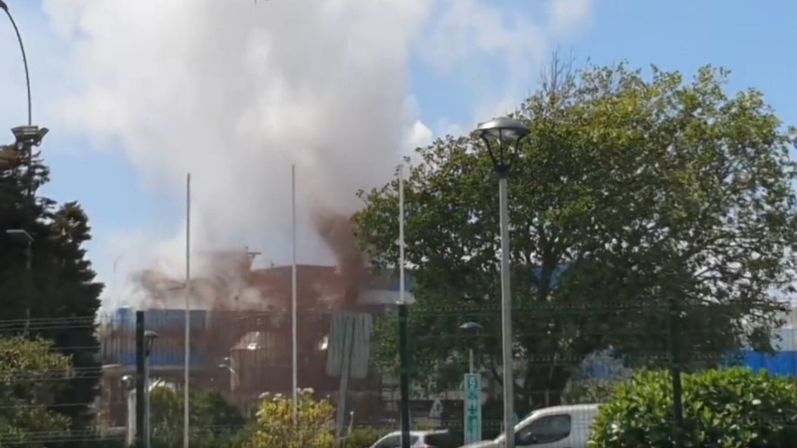 Desperfecto en planta celulosa generó una nube café y desató pánico en Constitución