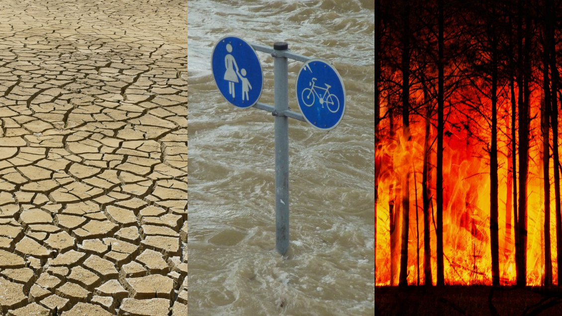 Ningún país está en buen camino para limitar el calentamiento del planeta a 1,5 °C