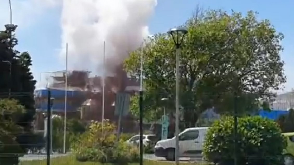 SMA inició investigación por desperfecto en planta de Celulosa Arauco en Constitución