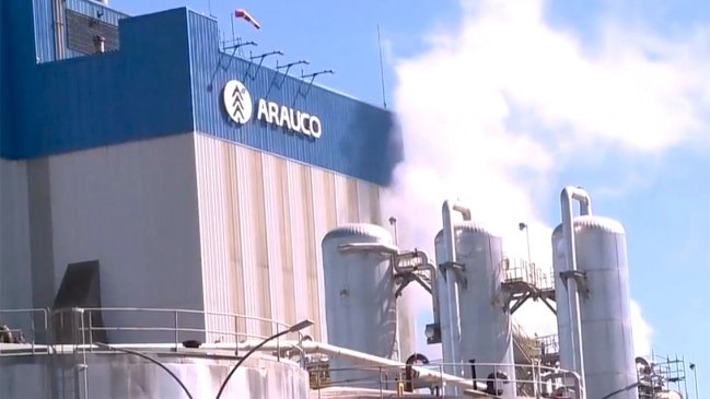 Planta de celulosa de Constitución reabrió tras revisión de autoridad sanitaria