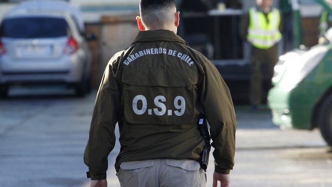 Matrimonio de adultos mayores fue amarrado durante asalto en Ñuñoa