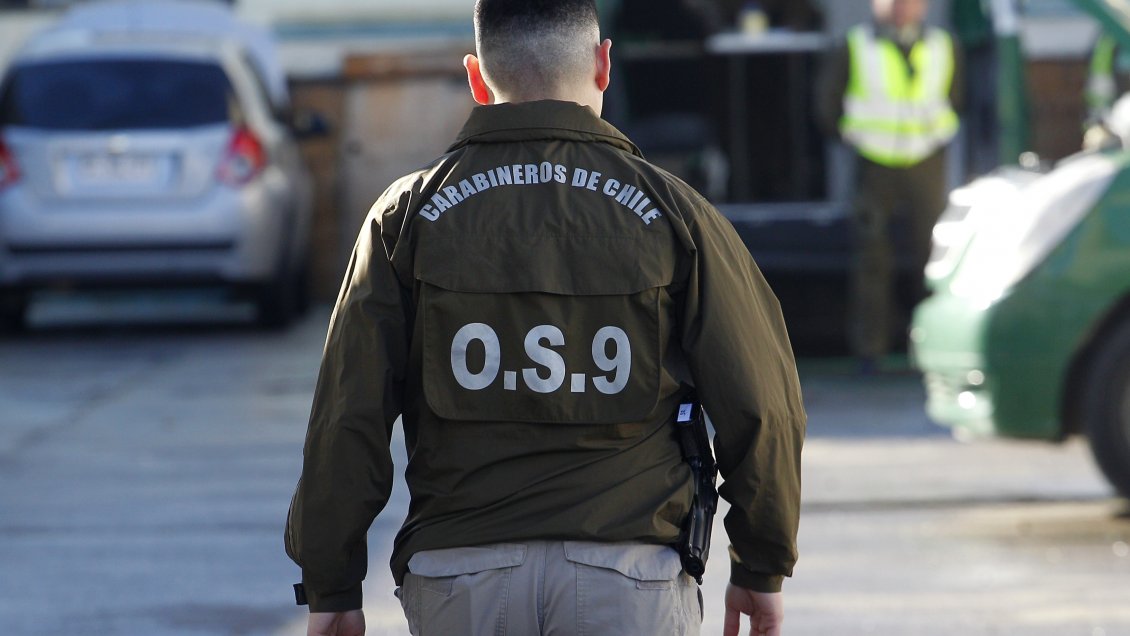 Matrimonio de adultos mayores fue amarrado durante asalto en Ñuñoa