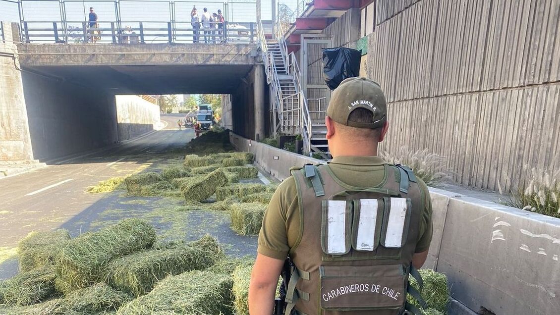 Caída de fardos de alfalfa provoca corte de tránsito en Ruta 5 e interrumpe servicio del Metro