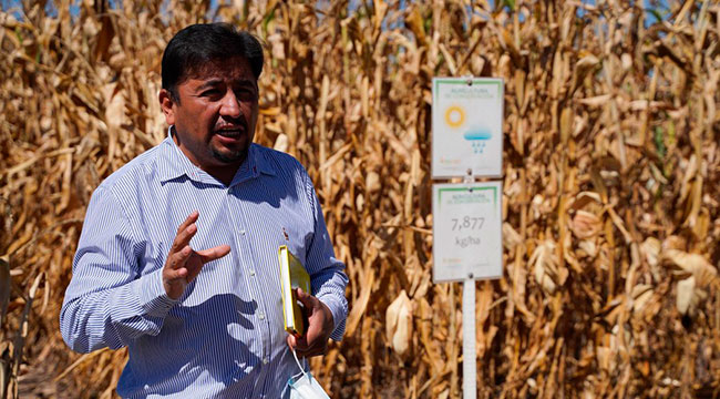 Imagen foto_00000002