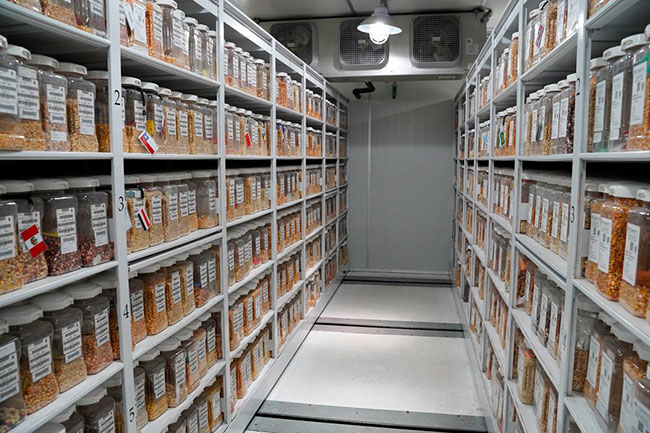 Imagen foto_00000003