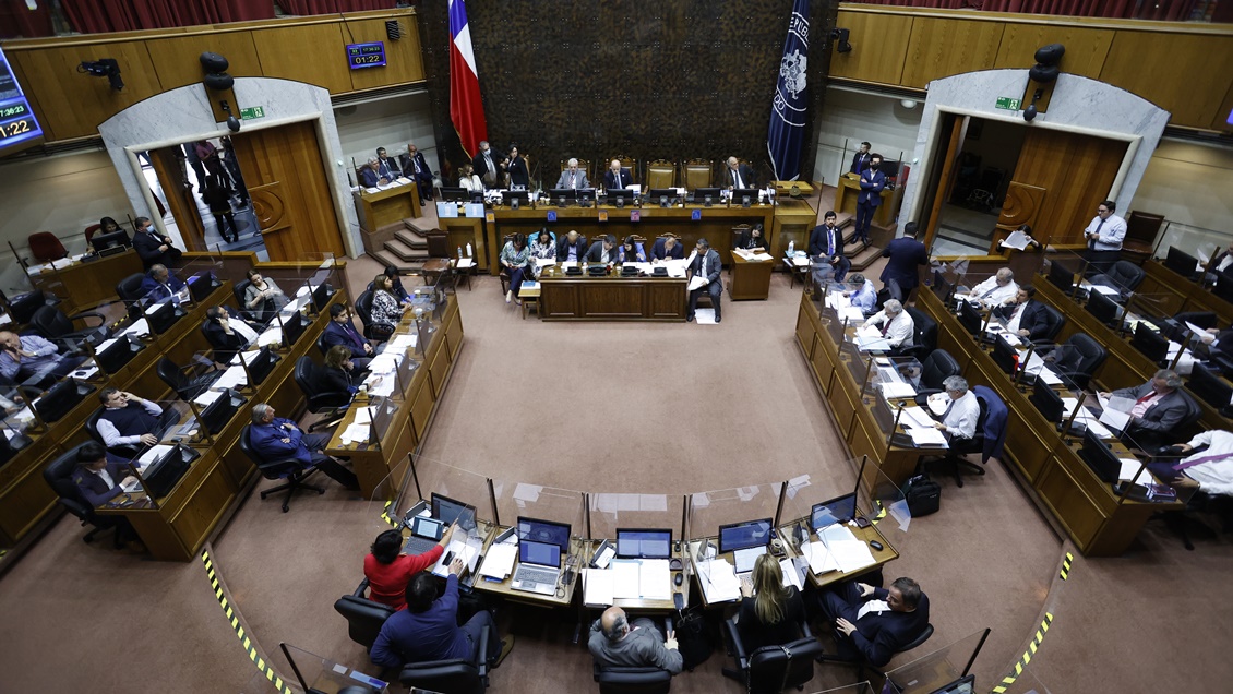 Presupuesto: Senado repuso los recursos de Patrimonio Cultural para instituciones de DDHH