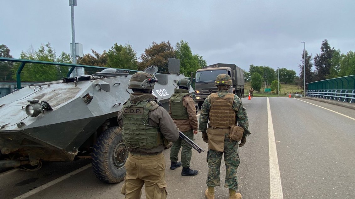 Desconocidos aplicaron químicos y destruyeron siembra en fundo Centenario en Ercilla