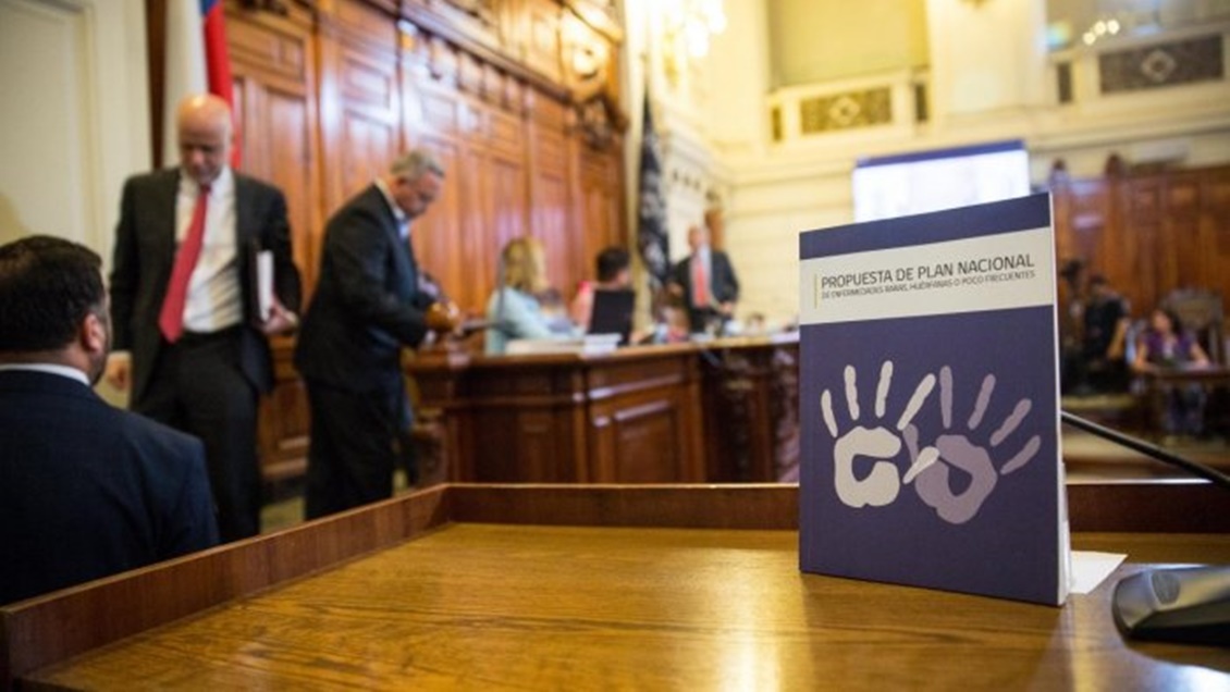 Gobierno y Senado acordaron avanzar en un plan nacional para enfermedades raras