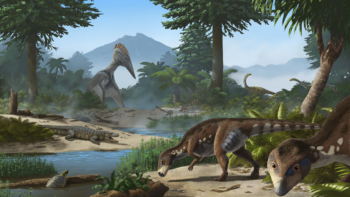 Descubren una nueva especie de dinosaurio enano que habitó en Transilvania