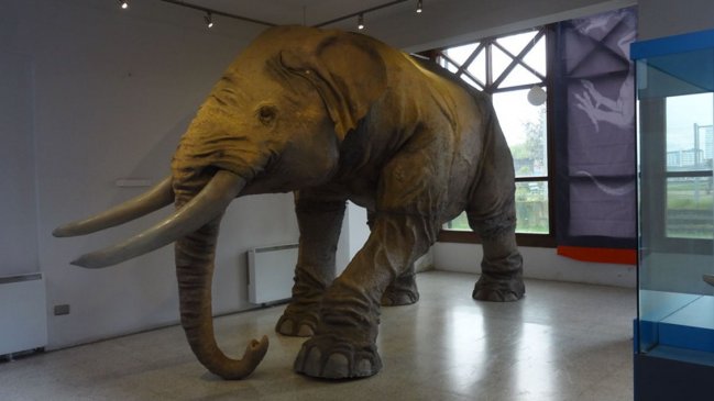   Hallan restos de elefantes de más de 12.000 años de antigüedad en Chile 