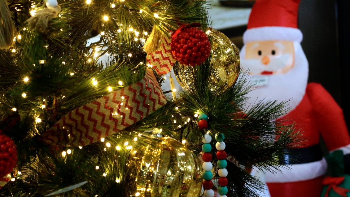 Diputado RN ingresó proyectos para declarar feriado el lunes 26 de diciembre