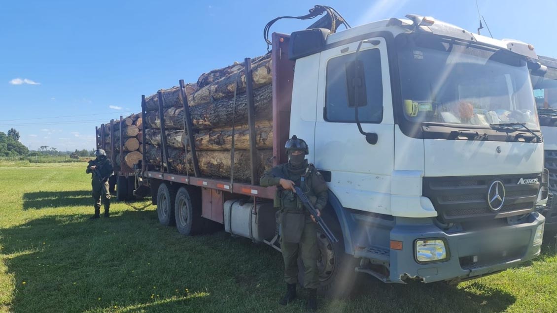 Dos nuevos detenidos por robo de madera en La Araucanía