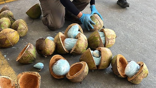  Agentes mexicanos hallaron 300 kilos de fentanilo oculto en cocos  