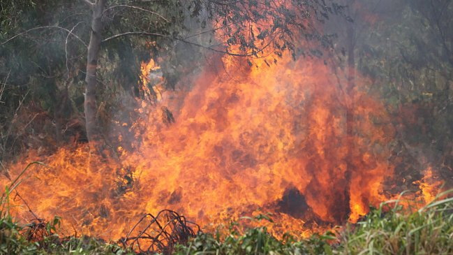 Al menos 9.000 familias han sido afectadas por incendios en región en Bolivia