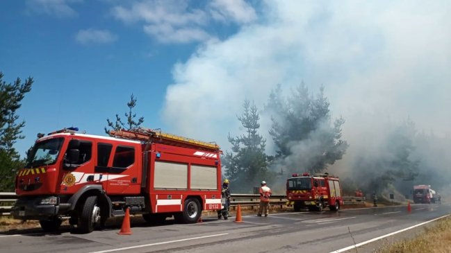 Declaran alerta roja en Tomé por incendio forestal que amenaza a sectores habitados