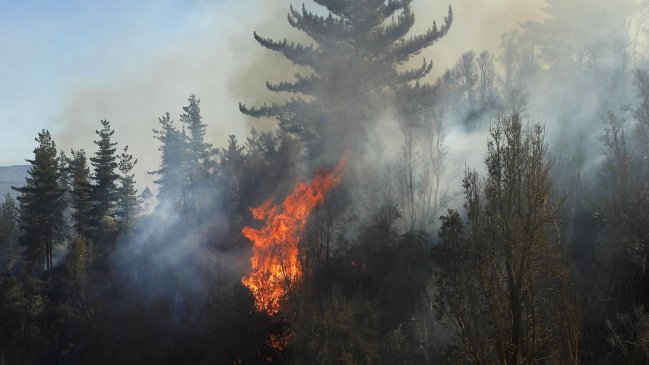   Declaran alerta temprana preventiva para la región de Valparaíso por riesgo de incendios forestales 