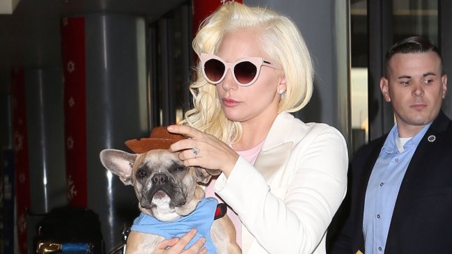 Hombre que robó a los perros de Lady Gaga pasará 21 años en prisión