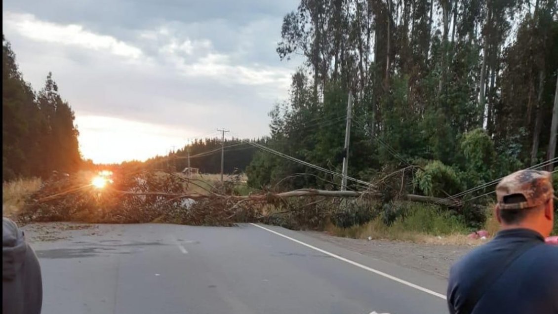 Coordinadora Arauco Malleco llamó a movilizaciones en apoyo a comuneros