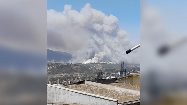 Nueve viviendas afectadas por el fuego en incendio que mantiene con alerta roja a Quintero y Quillota