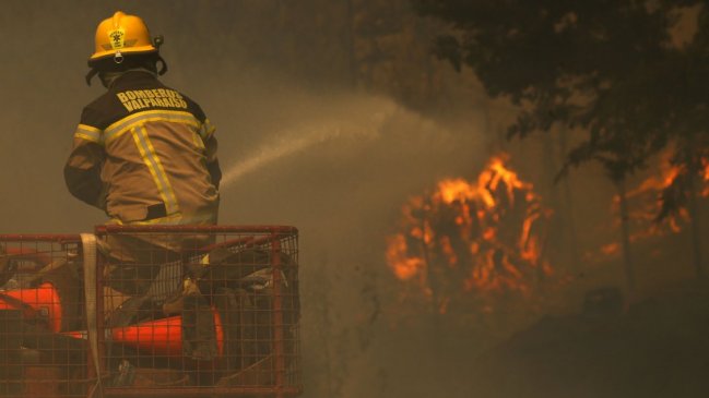 Ocho alertas rojas: Onemi reporta 11 incendios forestales que se mantienen en combate a nivel nacional
