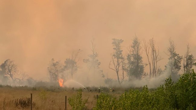 Incendio en Melipilla ha consumido sobre 600 hectáreas y dañado cerca de 40 casas