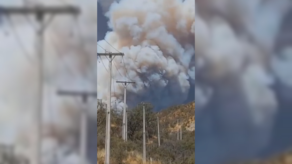 Alerta Roja en Curacaví por incendio forestal fuera de control