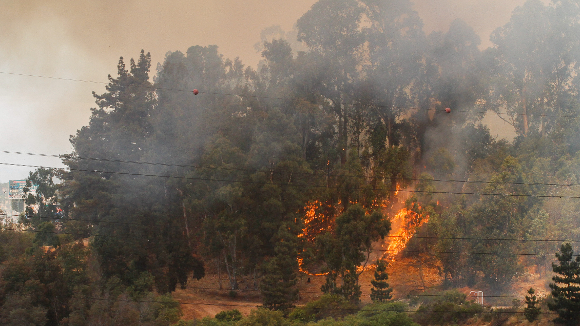 Conaf acusó falta de mantención en el tendido eléctrico como posible causa de incendios forestales