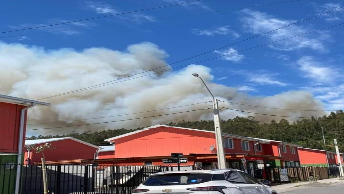 Velas en pajonales iniciaron un incendio en Tomé: Región del Biobío con dos alertas rojas
