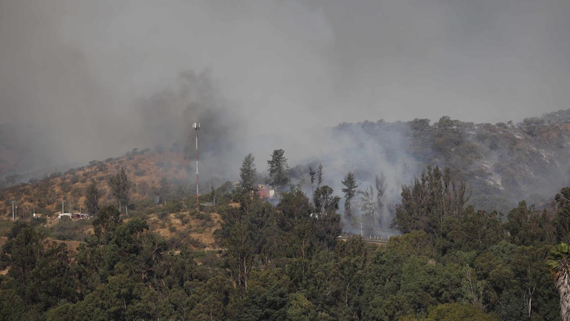 Balance de Onemi: Hay 18 incendios forestales en combate en el país