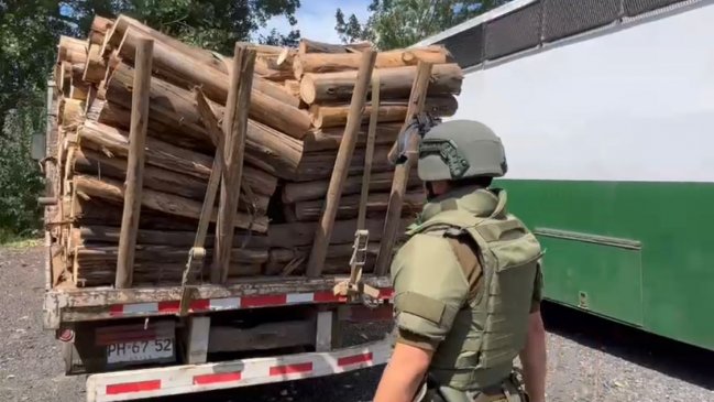 Carabineros detuvo a tres sujetos por robo de madera en en Perquenco