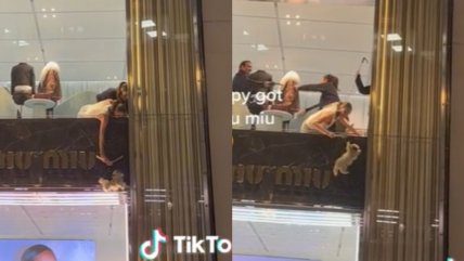   Perrito quedó atrapado en el vidrio de una tienda y su rescate se volvió viral 
