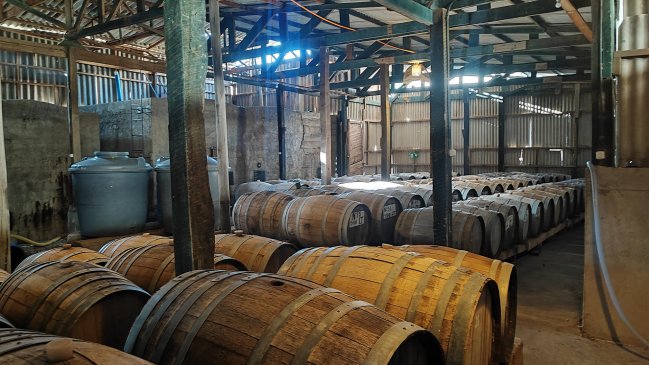  El pisco chileno busca convertir sus viñedos en patrimonio de la Unesco  