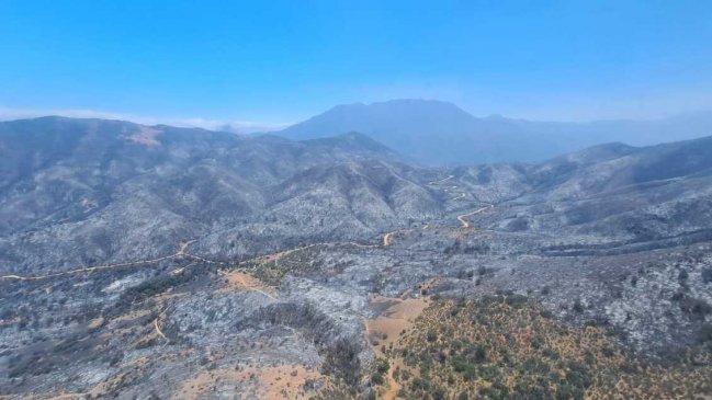 Más de 4.600 hectáreas han sido destruidas por incendios forestales en Valparaíso