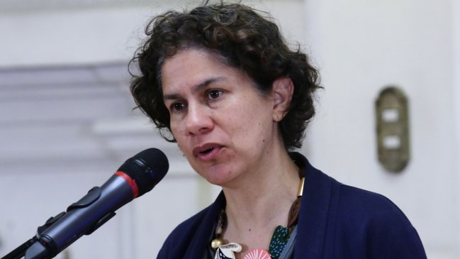 Ministra de Medio Ambiente estimó que el compromiso de la COP15 