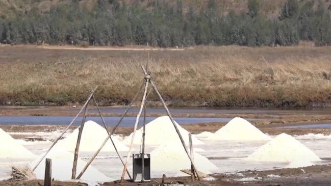 Entregan recursos a salineros de Pichilemu y Paredones