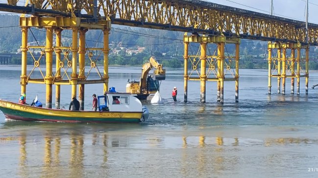 EFE retiró el tronco que provocó la falla en el puente ferroviario del Biobío