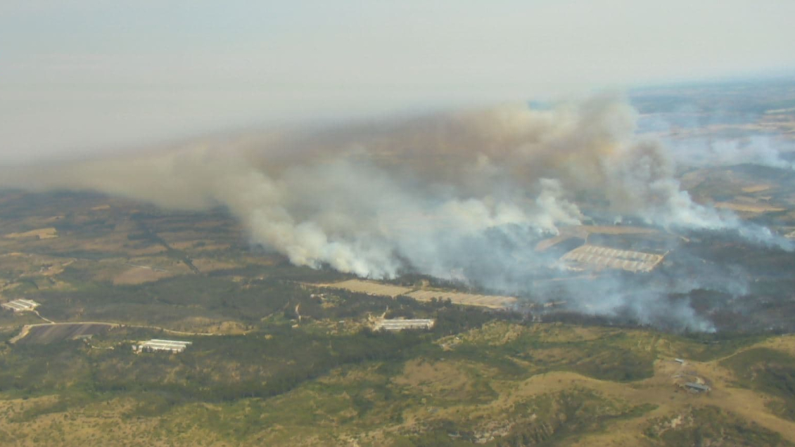 Incendio forestal en Santo Domingo se propagó a San Pedro: Se declaró alerta roja