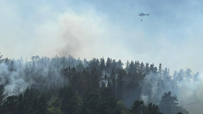 Incendios forestales de Chiguayante, Hualqui y Laja continúan en combate