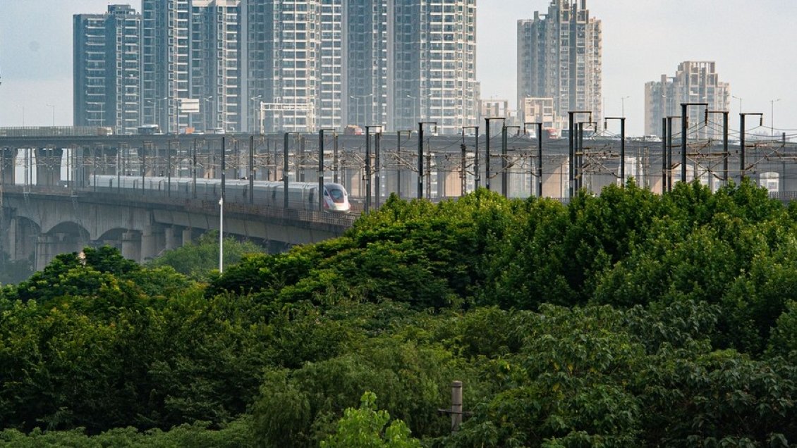 Tren de alta velocidad Beijing-Guangzhou gestiona 1.690 millones de viajes en 10 años
