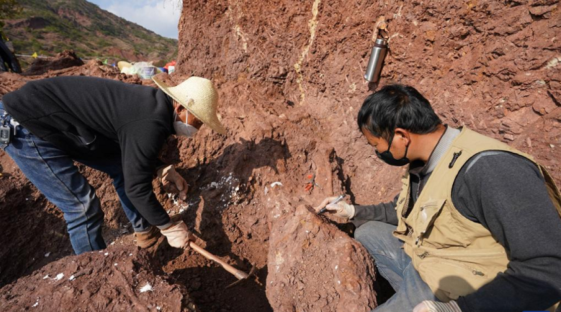 Hallan fósiles de dinosaurios en provincia china de Yunnan