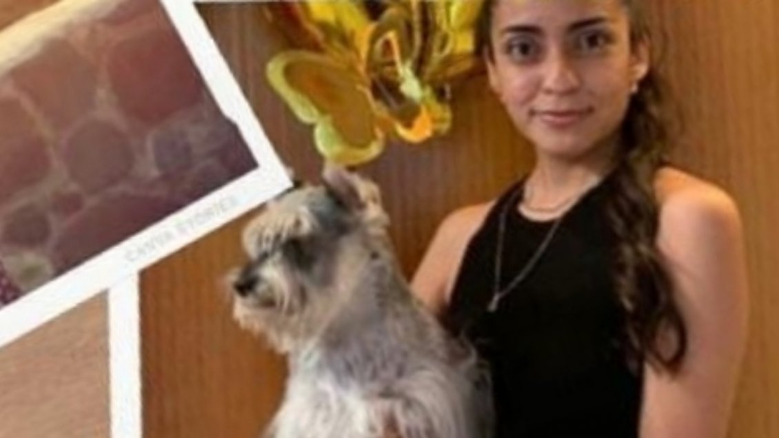 Tribunal declaró culpable a conductora que atropelló y mató a joven y su mascota en Antofagasta