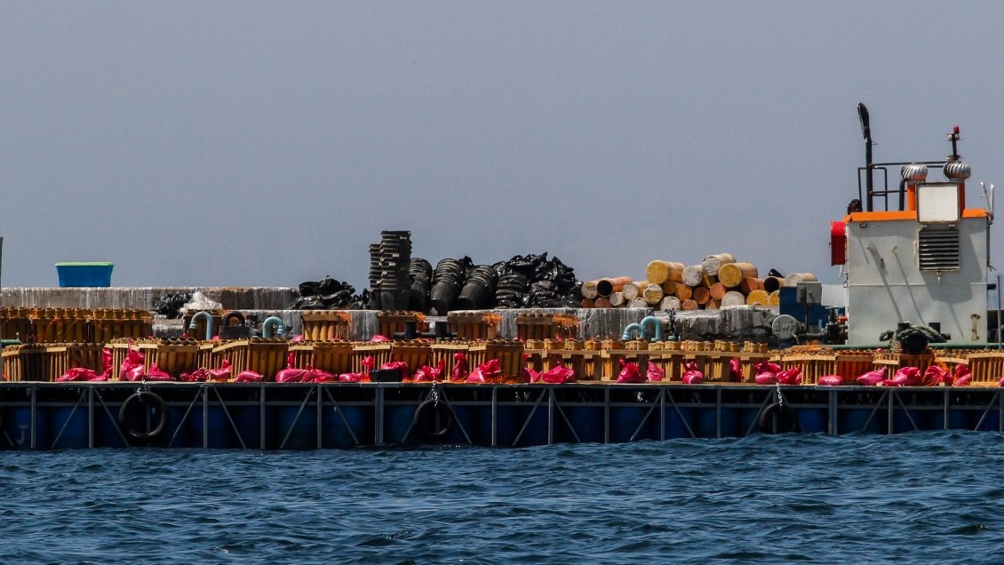 Valparaíso: Sigue la incertidumbre por Año Nuevo en el Mar faltando dos días